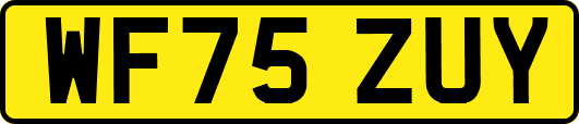 WF75ZUY
