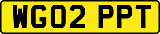 WG02PPT