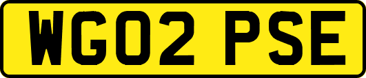 WG02PSE