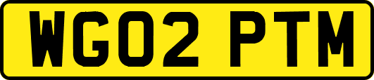 WG02PTM