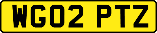 WG02PTZ