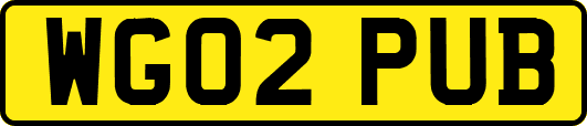 WG02PUB