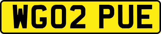 WG02PUE
