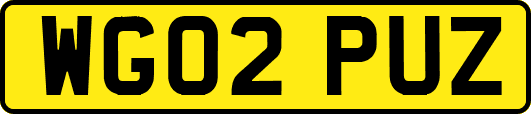 WG02PUZ