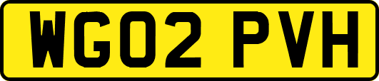 WG02PVH