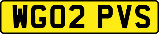 WG02PVS