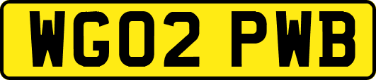 WG02PWB