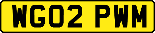 WG02PWM