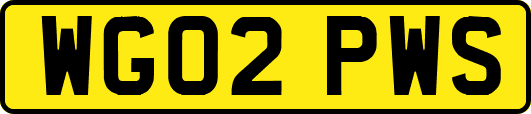 WG02PWS