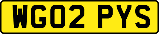 WG02PYS