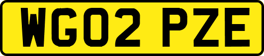 WG02PZE