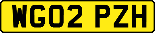 WG02PZH
