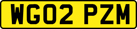 WG02PZM