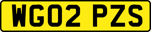 WG02PZS