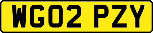 WG02PZY