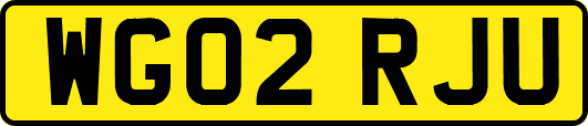 WG02RJU