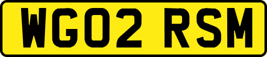 WG02RSM
