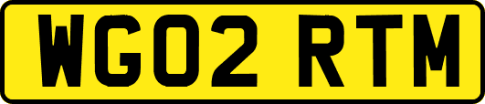 WG02RTM