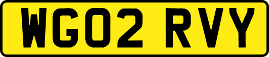 WG02RVY