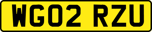 WG02RZU