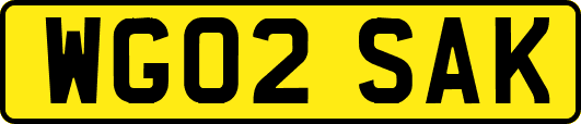 WG02SAK