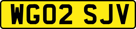 WG02SJV