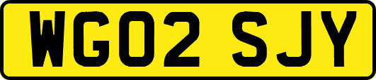 WG02SJY