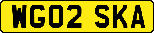 WG02SKA