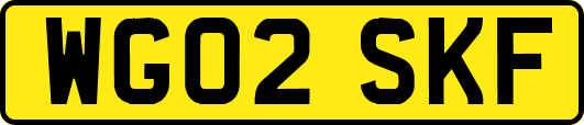 WG02SKF