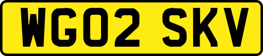 WG02SKV
