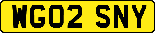 WG02SNY