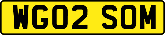 WG02SOM