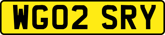 WG02SRY