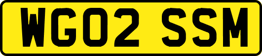 WG02SSM