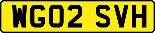 WG02SVH