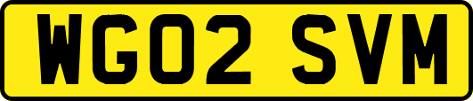 WG02SVM