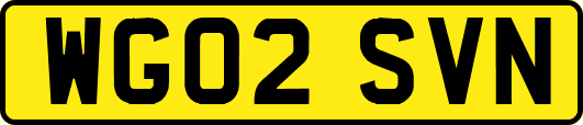 WG02SVN