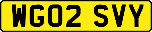 WG02SVY