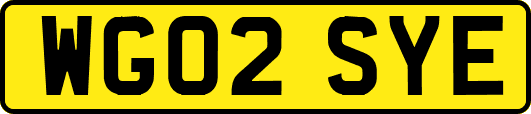 WG02SYE