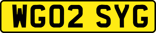 WG02SYG