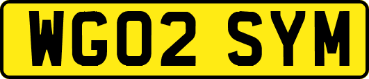WG02SYM