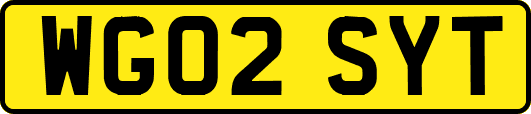 WG02SYT