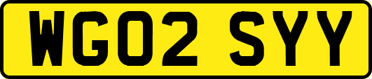 WG02SYY