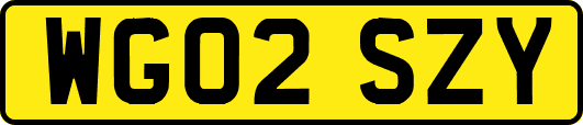 WG02SZY