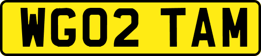 WG02TAM