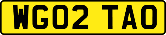 WG02TAO