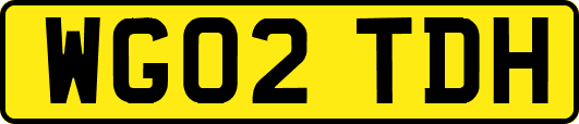 WG02TDH