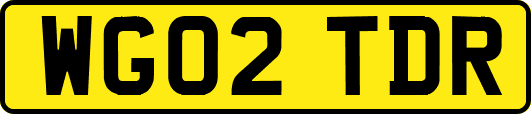 WG02TDR