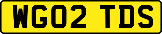 WG02TDS