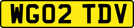 WG02TDV